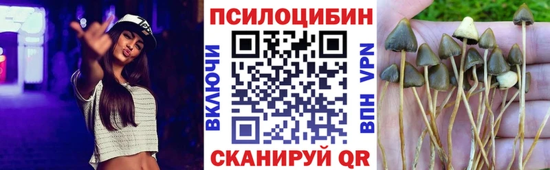 Псилоцибиновые грибы прущие грибы как найти наркотики Каменногорск
