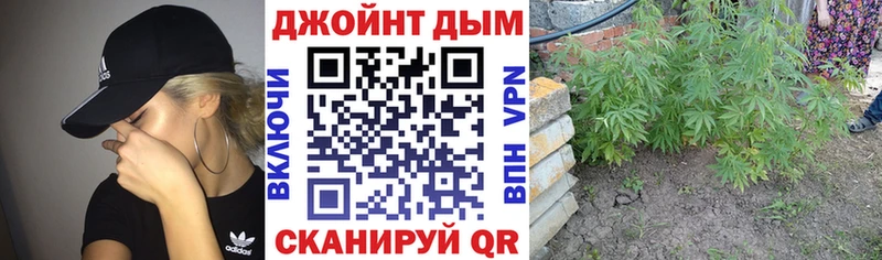 Шишки марихуана планчик  Каменногорск 